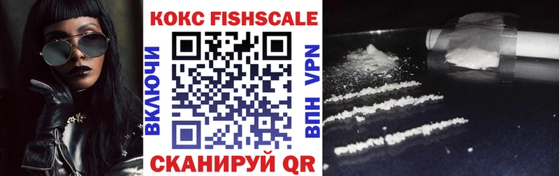 Купить закладки Дорогобуж COCAIN FishScale