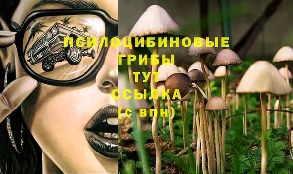 спиды Лагань