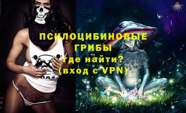 прущие крисы Кулебаки