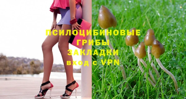 спиды Лагань