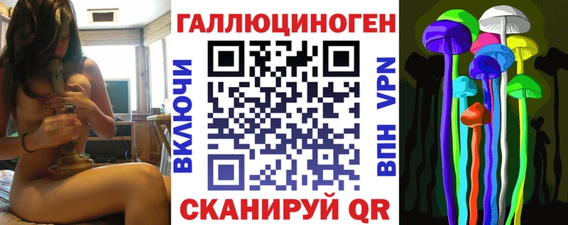 Псилоцибиновые грибы GOLDEN TEACHER  Купить закладки  Дорогобуж 