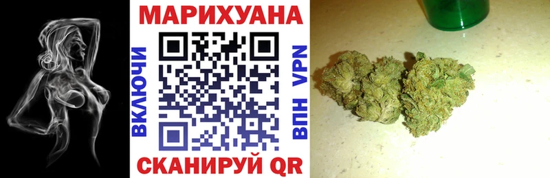 Купить закладки  Дорогобуж  Каннабис Ganja 